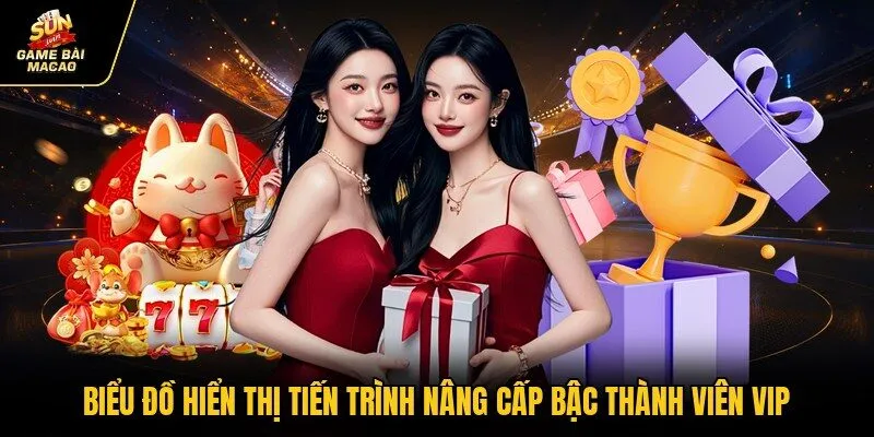 Biểu đồ hiển thị tiến trình nâng cấp bậc thành viên VIP